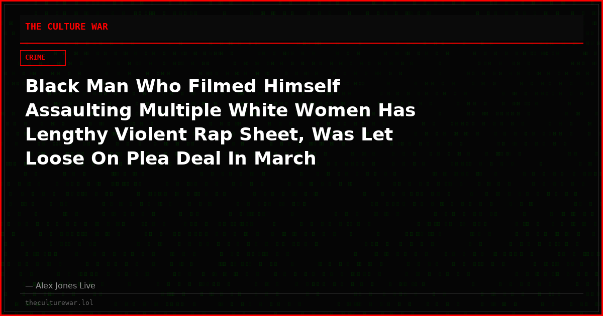 Black Man Who Filmed Himself Assaulting Multiple White Women Has Lengthy Violent Rap Sheet, Was Let Loose On Plea Deal In March