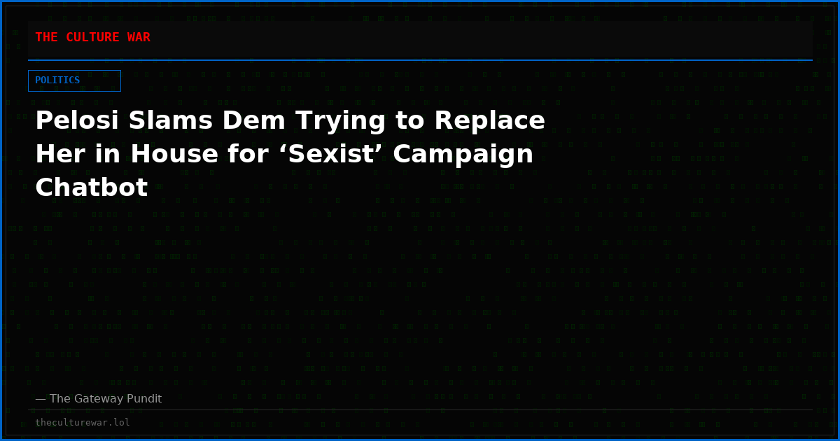 Pelosi Slams Dem Trying to Replace Her in House for ‘Sexist’ Campaign Chatbot