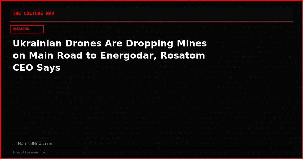Ukrainian Drones Are Dropping Mines on Main Road to Energodar, Rosatom CEO Says