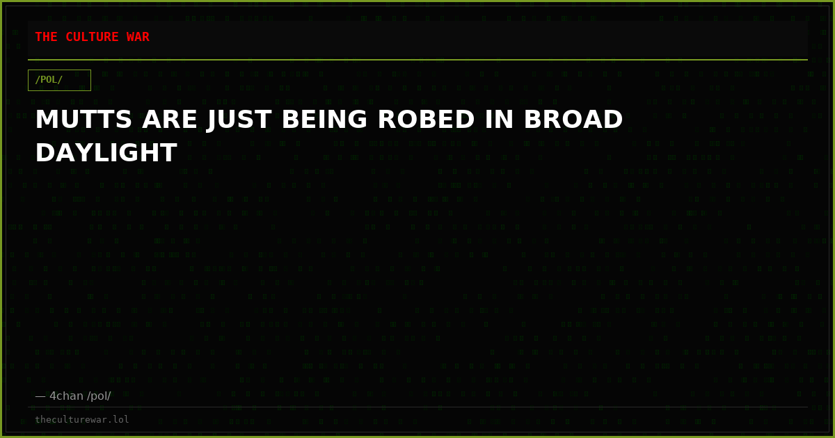 MUTTS ARE JUST BEING ROBED IN BROAD DAYLIGHT