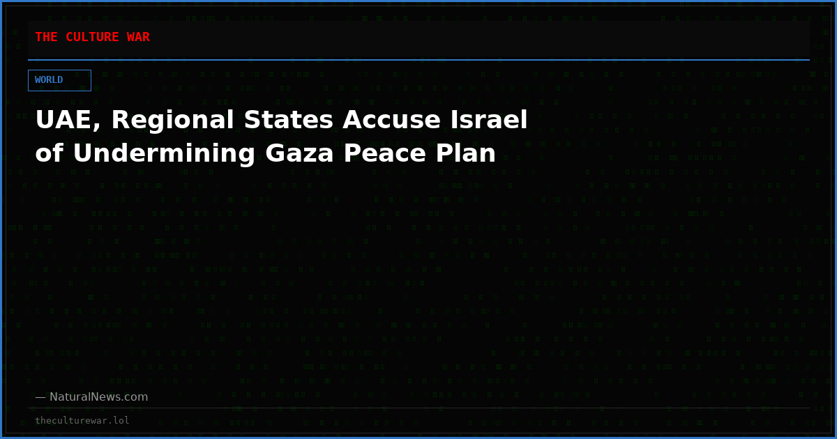 UAE, Regional States Accuse Israel of Undermining Gaza Peace Plan