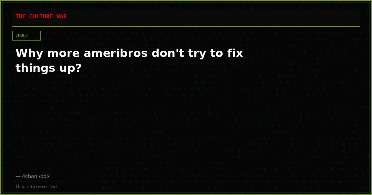 Why more ameribros don't try to fix things up?