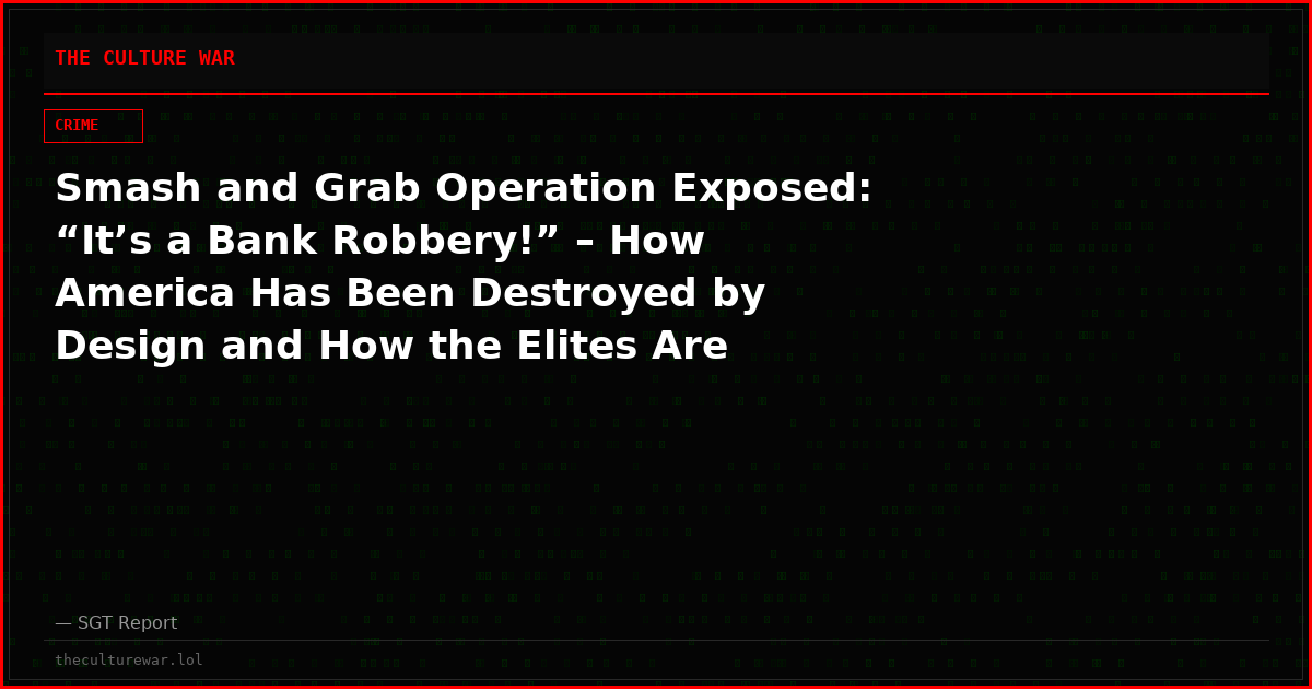 Smash and Grab Operation Exposed: “It’s a Bank Robbery!” – How America Has Been Destroyed by Design and How the Elites Are Trying to Get Away With One Final Country-Ending Robbery