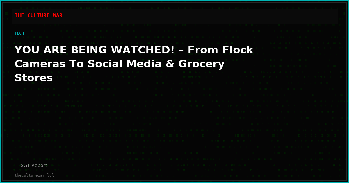 YOU ARE BEING WATCHED! – From Flock Cameras To Social Media & Grocery Stores