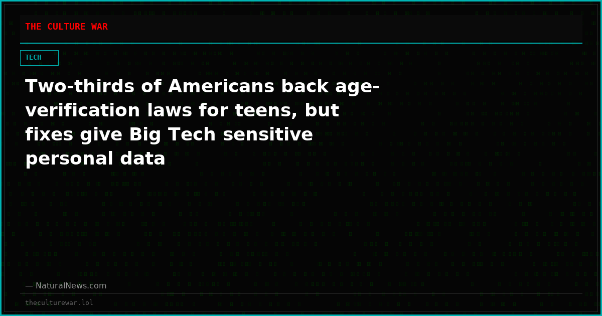 Two-thirds of Americans back age-verification laws for teens, but fixes give Big Tech sensitive personal data
