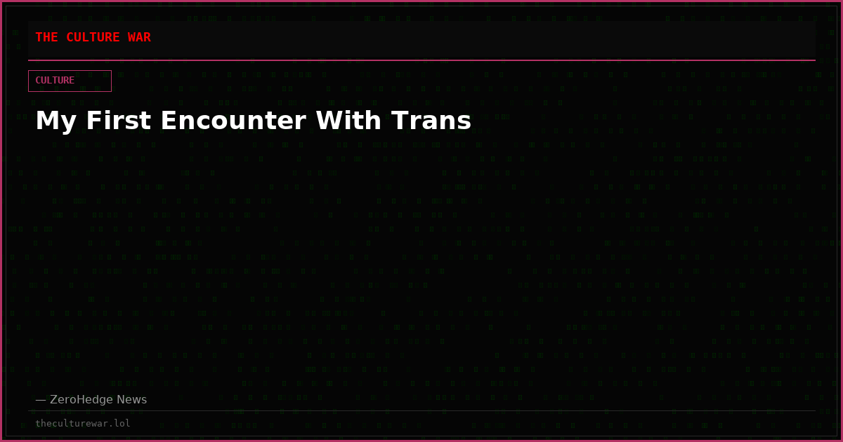 My First Encounter With Trans