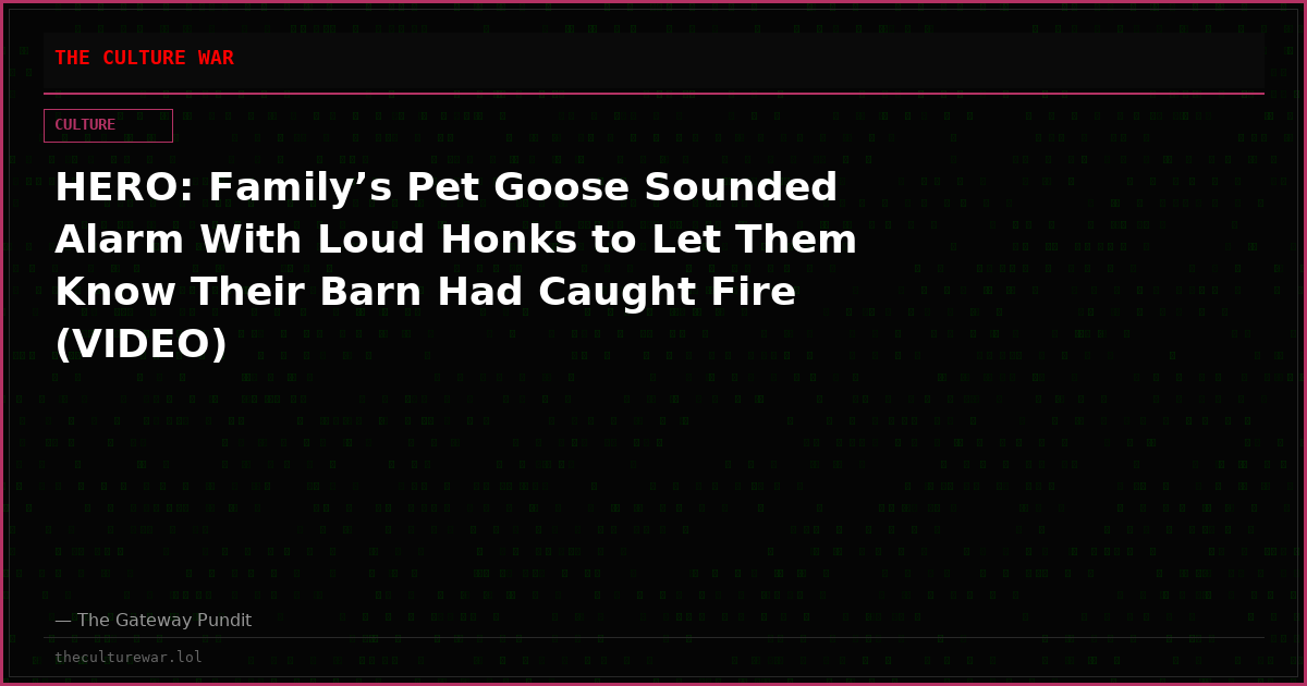 HERO: Family’s Pet Goose Sounded Alarm With Loud Honks to Let Them Know Their Barn Had Caught Fire (VIDEO)