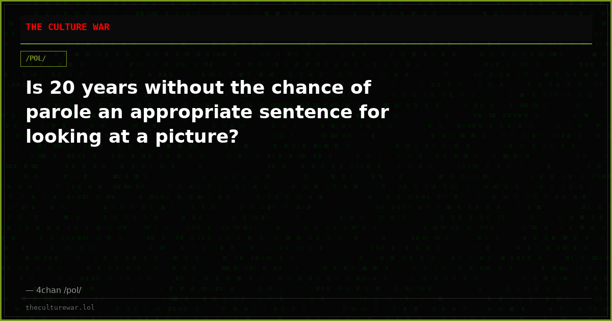 Is 20 years without the chance of parole an appropriate sentence for looking at a picture?