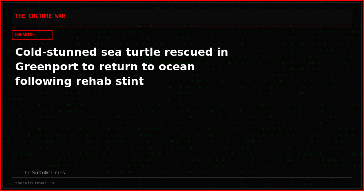 Cold-stunned sea turtle rescued in Greenport to return to ocean following rehab stint