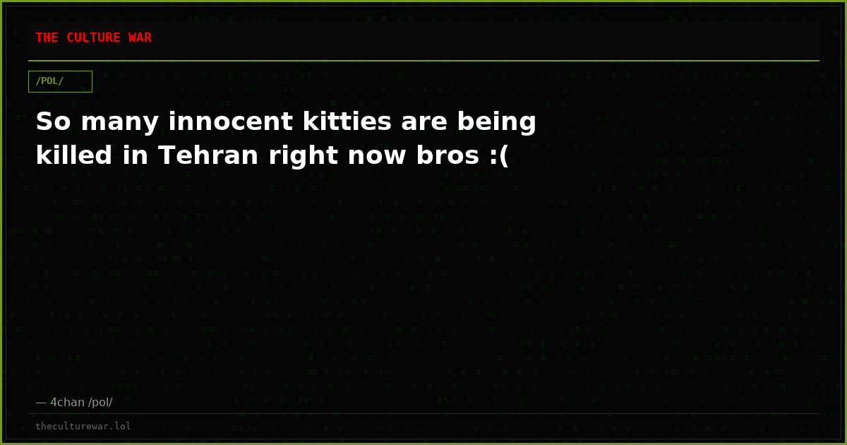 So many innocent kitties are being killed in Tehran right now bros :(