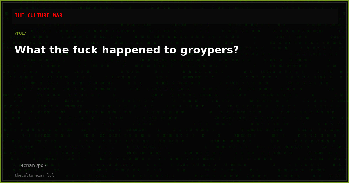 What the fuck happened to groypers?