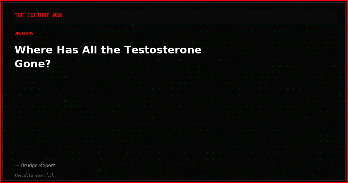 Where Has All the Testosterone Gone?