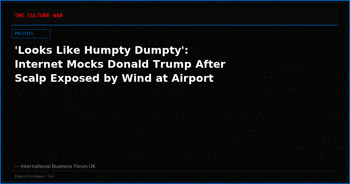'Looks Like Humpty Dumpty': Internet Mocks Donald Trump After Scalp Exposed by Wind at Airport