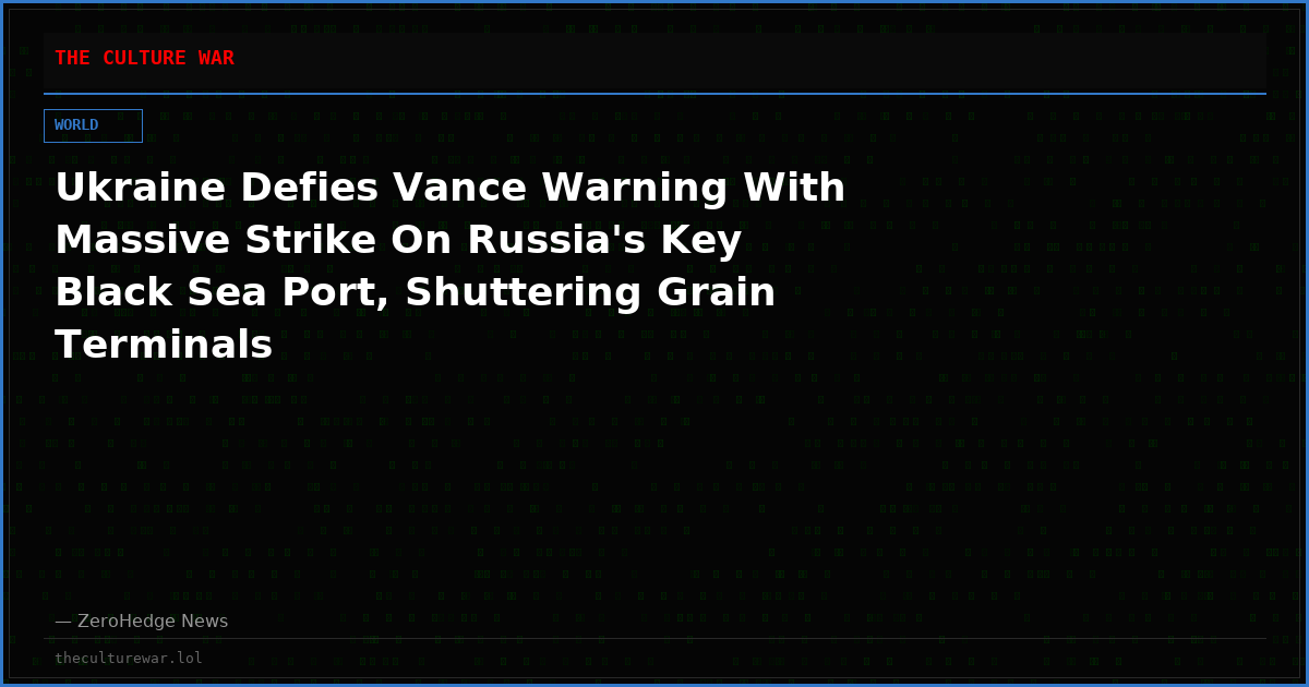 Ukraine Defies Vance Warning With Massive Strike On Russia's Key Black Sea Port, Shuttering Grain Terminals