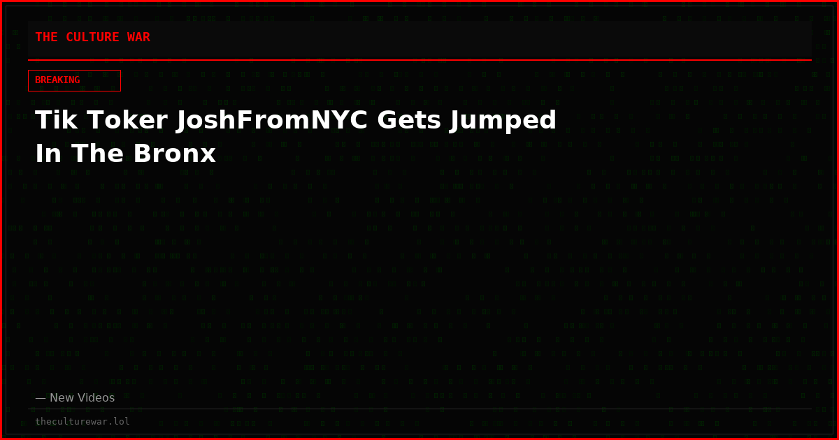 Tik Toker JoshFromNYC Gets Jumped In The Bronx