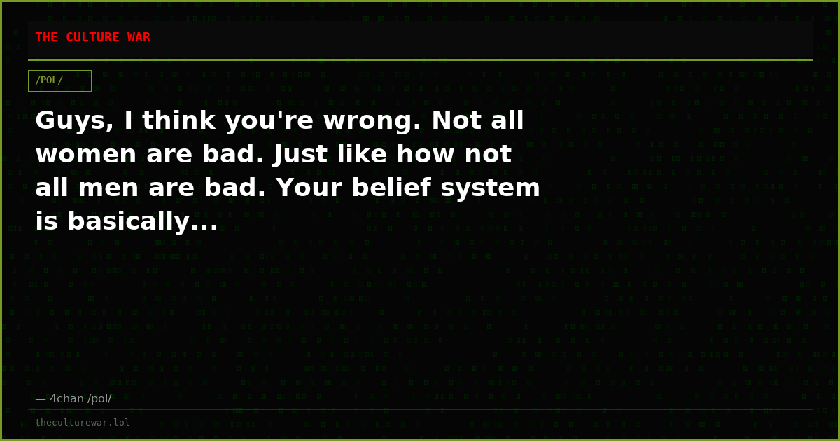 Guys, I think you're wrong. Not all women are bad. Just like how not all men are bad. Your belief system is basically...