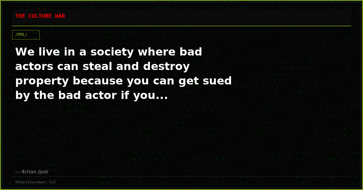 We live in a society where bad actors can steal and destroy property because you can get sued by the bad actor if you...