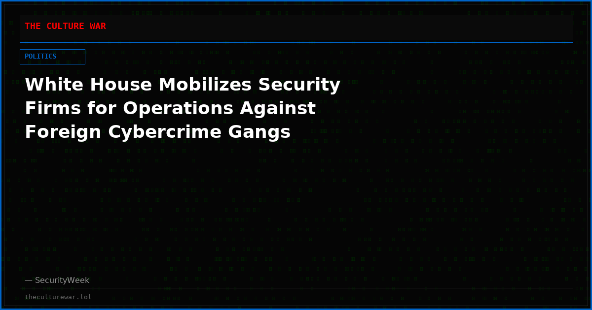 White House Mobilizes Security Firms for Operations Against Foreign Cybercrime Gangs