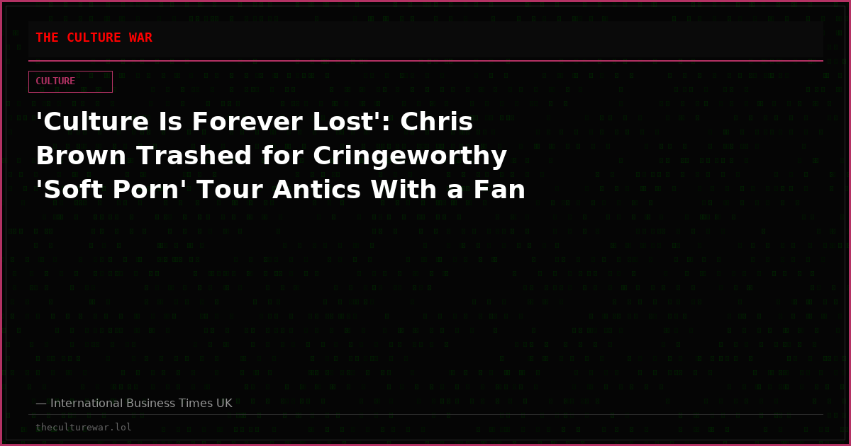 'Culture Is Forever Lost': Chris Brown Trashed for Cringeworthy 'Soft Porn' Tour Antics With a Fan