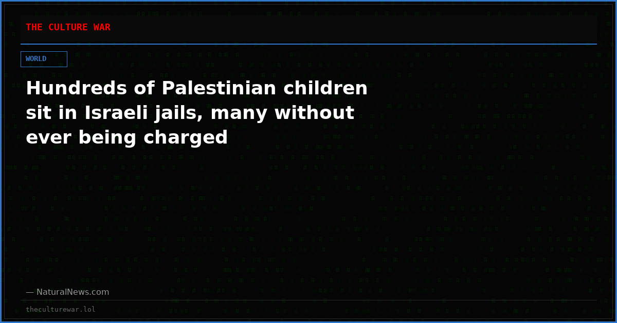 Hundreds of Palestinian children sit in Israeli jails, many without ever being charged