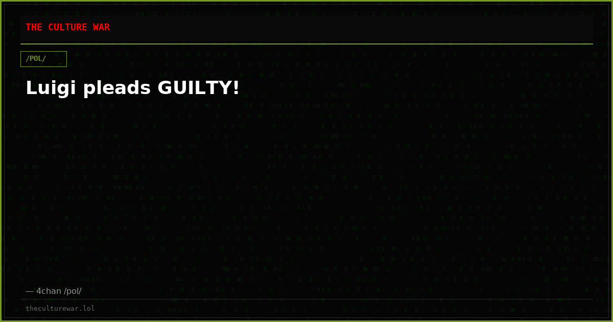 Luigi pleads GUILTY!