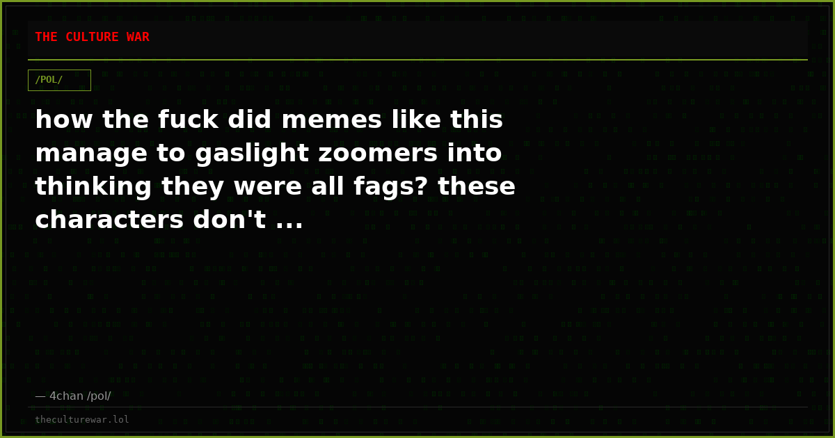 how the fuck did memes like this manage to gaslight zoomers into thinking they were all fags? these characters don't ...