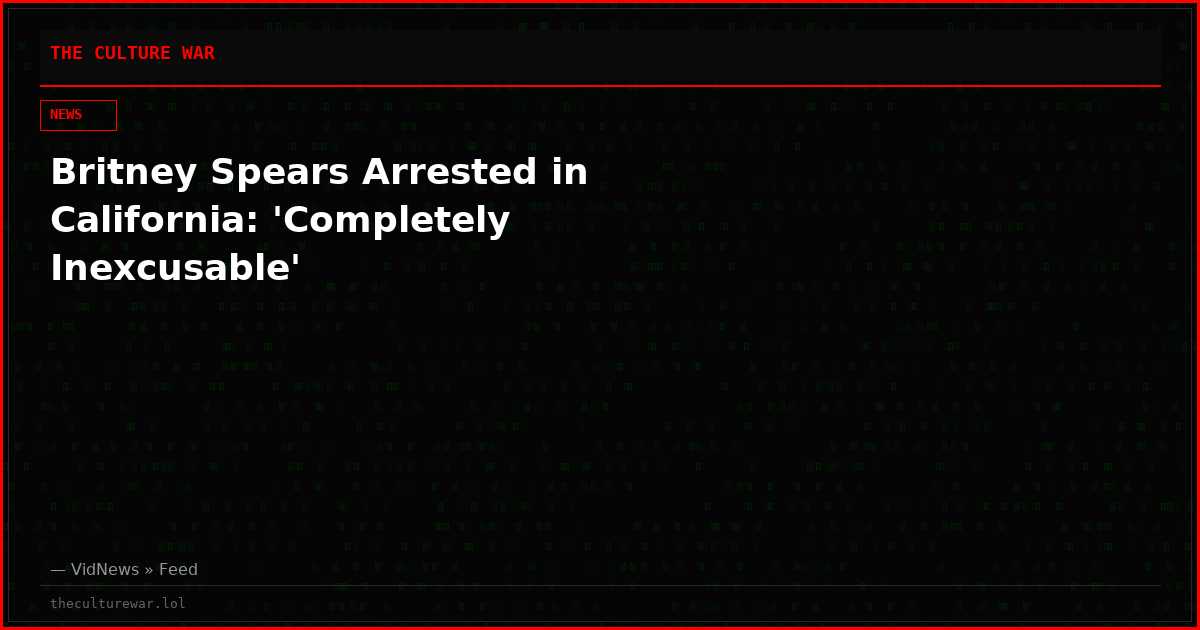 Britney Spears Arrested in California: 'Completely Inexcusable'