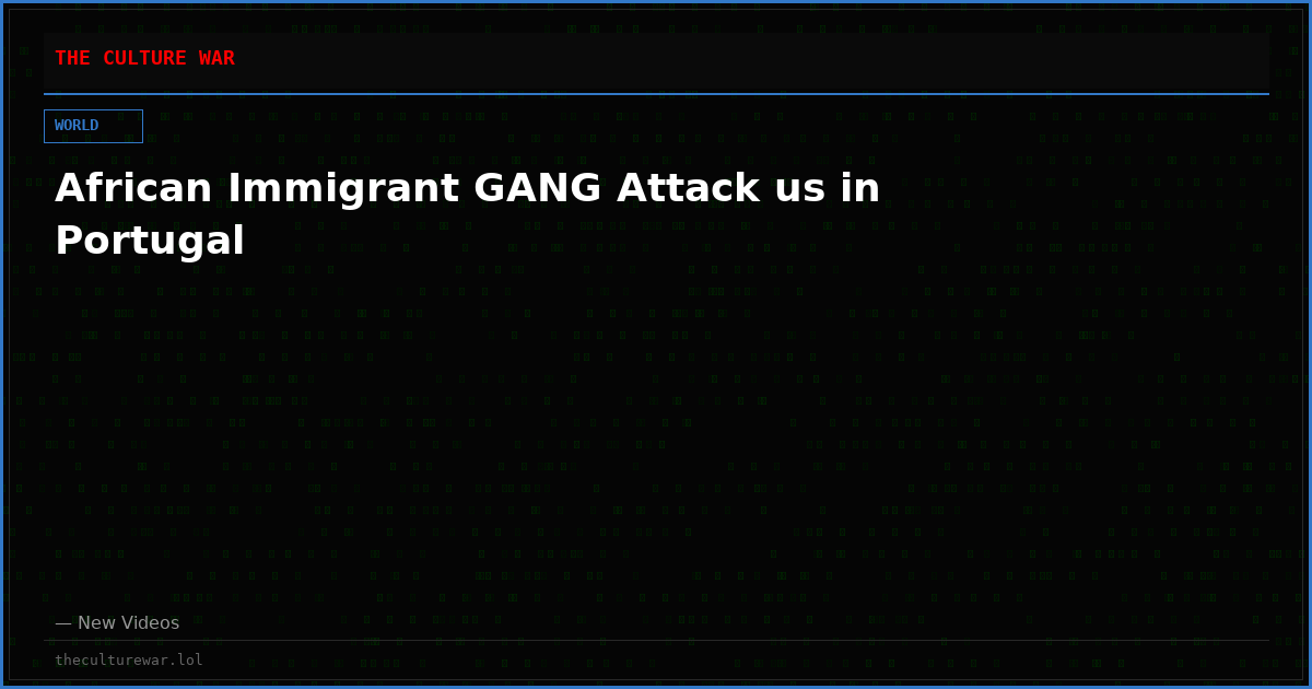African Immigrant GANG Attack us in Portugal