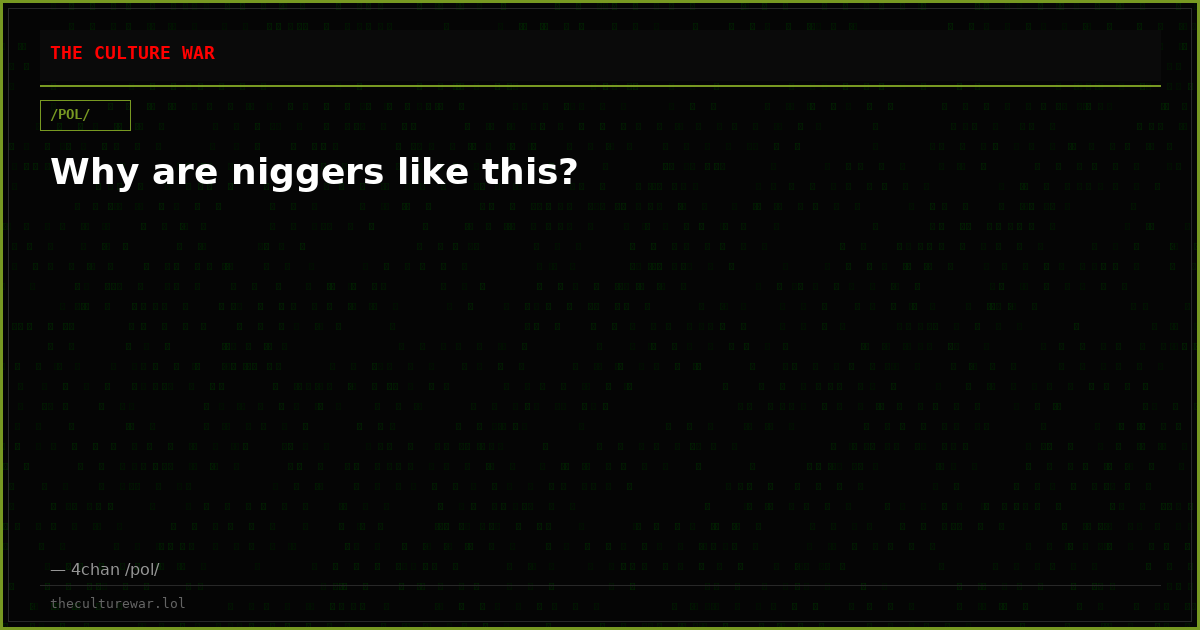 Why are niggers like this?