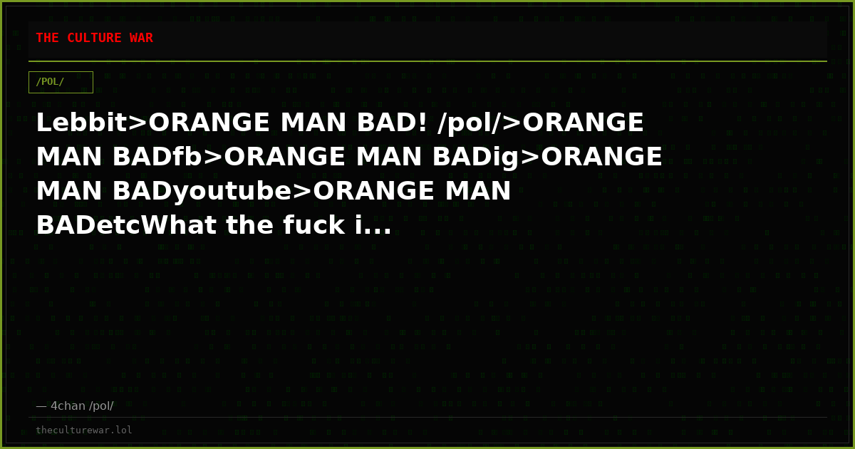 Lebbit>ORANGE MAN BAD! /pol/>ORANGE MAN BADfb>ORANGE MAN BADig>ORANGE MAN BADyoutube>ORANGE MAN BADetcWhat the fuck i...