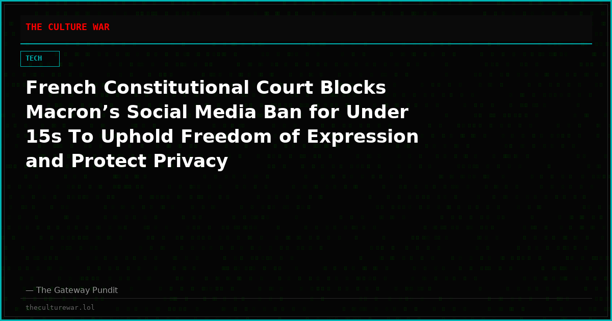 French Constitutional Court Blocks Macron’s Social Media Ban for Under 15s To Uphold Freedom of Expression and Protect Privacy