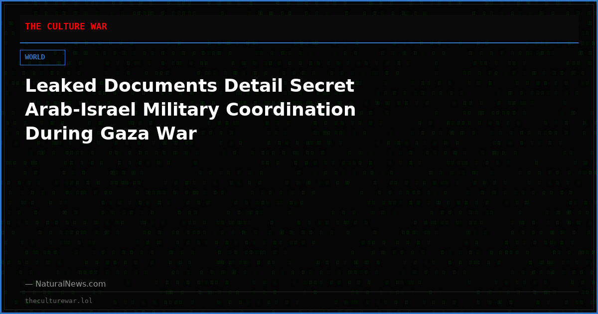 Leaked Documents Detail Secret Arab-Israel Military Coordination During Gaza War