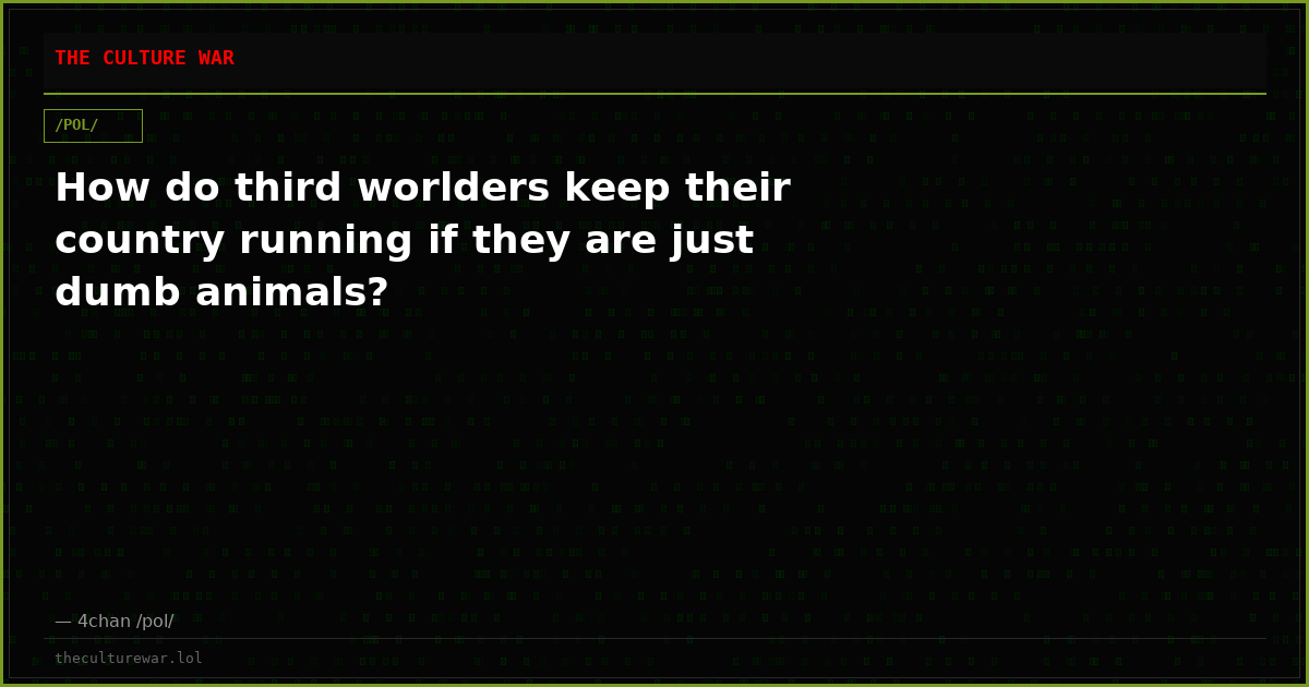 How do third worlders keep their country running if they are just dumb animals?