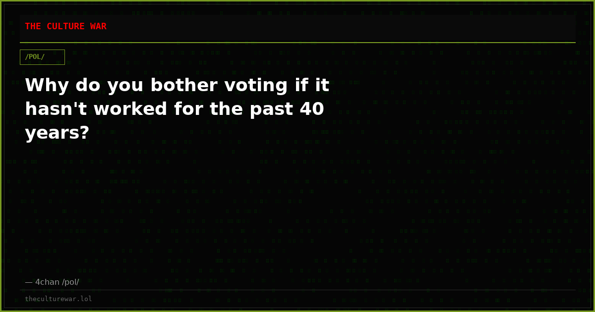 Why do you bother voting if it hasn't worked for the past 40 years?
