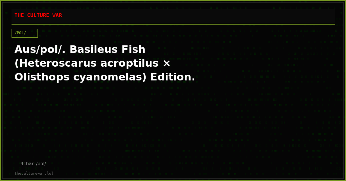 Aus/pol/. Basileus Fish (Heteroscarus acroptilus × Olisthops cyanomelas) Edition.