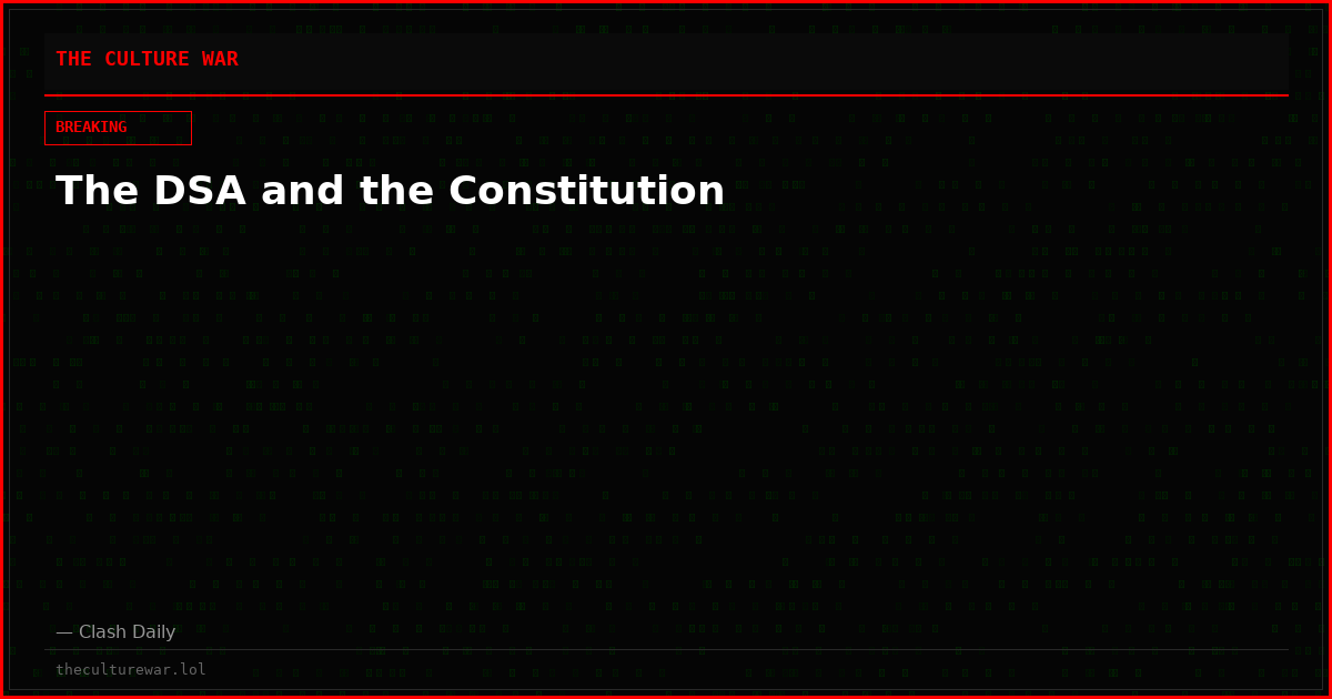 The DSA and the Constitution