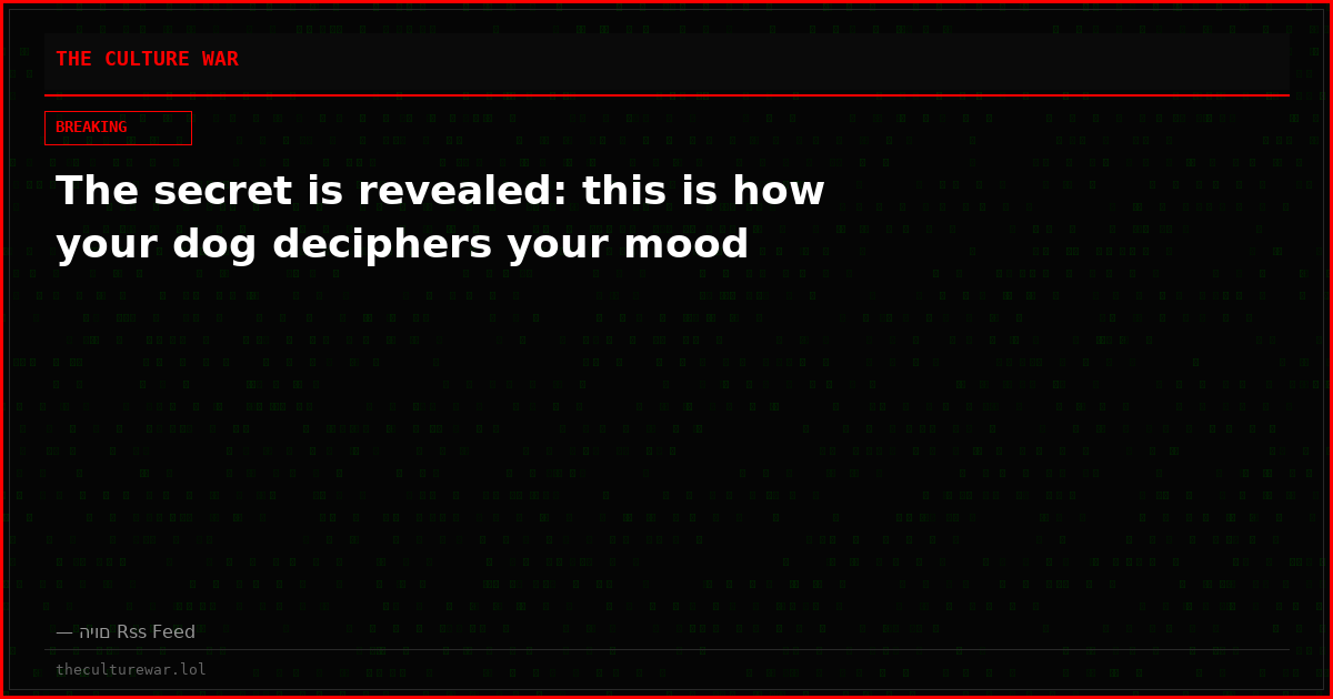 The secret is revealed: this is how your dog deciphers your mood