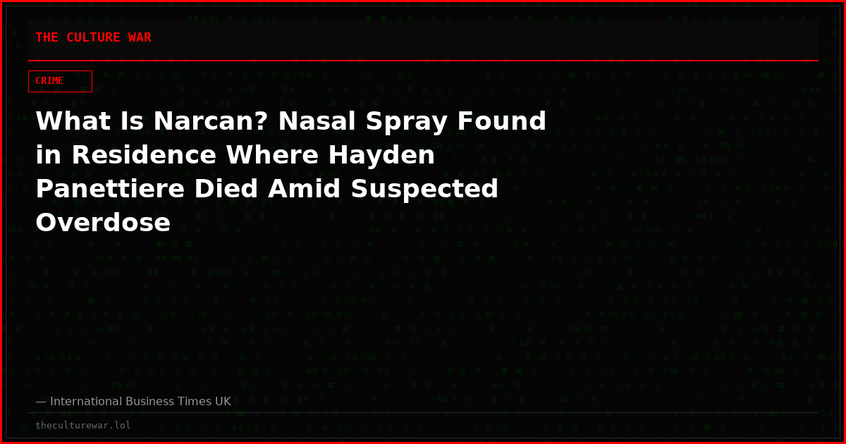 What Is Narcan? Nasal Spray Found in Residence Where Hayden Panettiere Died Amid Suspected Overdose