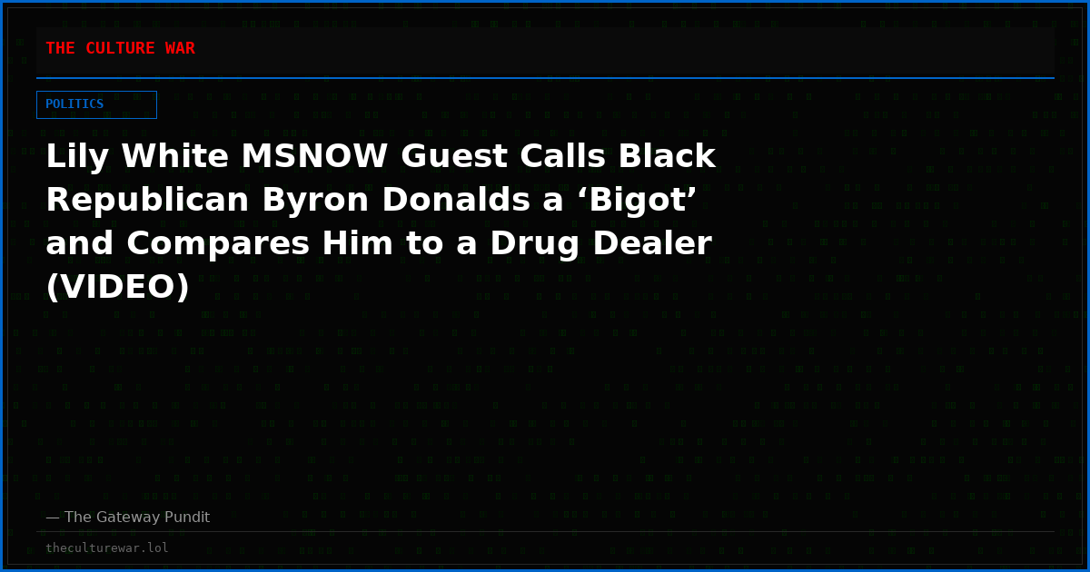 Lily White MSNOW Guest Calls Black Republican Byron Donalds a ‘Bigot’ and Compares Him to a Drug Dealer (VIDEO)