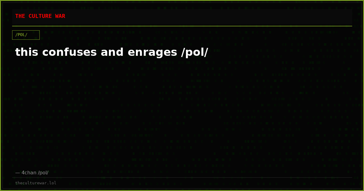 this confuses and enrages /pol/
