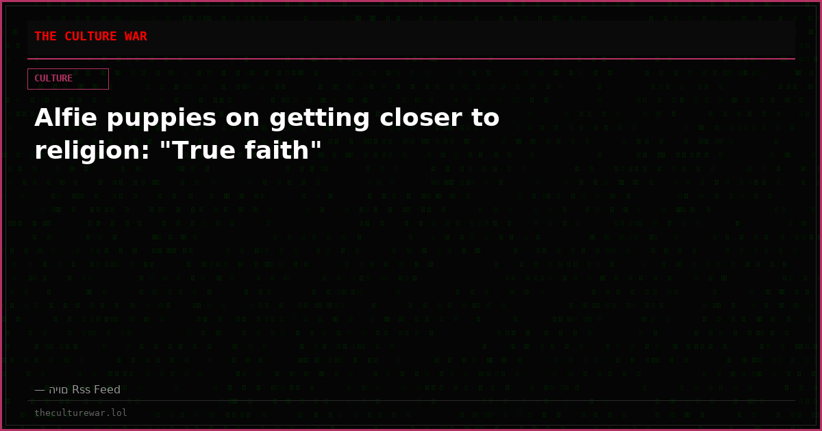 Alfie puppies on getting closer to religion: "True faith"