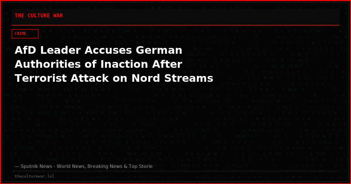 AfD Leader Accuses German Authorities of Inaction After Terrorist Attack on Nord Streams