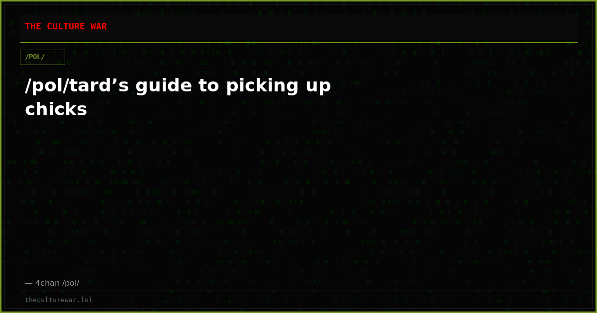 /pol/tard’s guide to picking up chicks