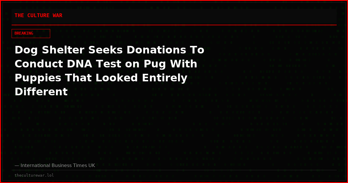 Dog Shelter Seeks Donations To Conduct DNA Test on Pug With Puppies That Looked Entirely Different