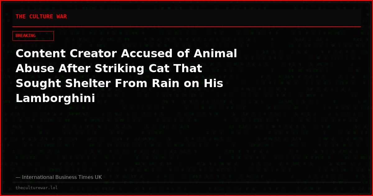 Content Creator Accused of Animal Abuse After Striking Cat That Sought Shelter From Rain on His Lamborghini