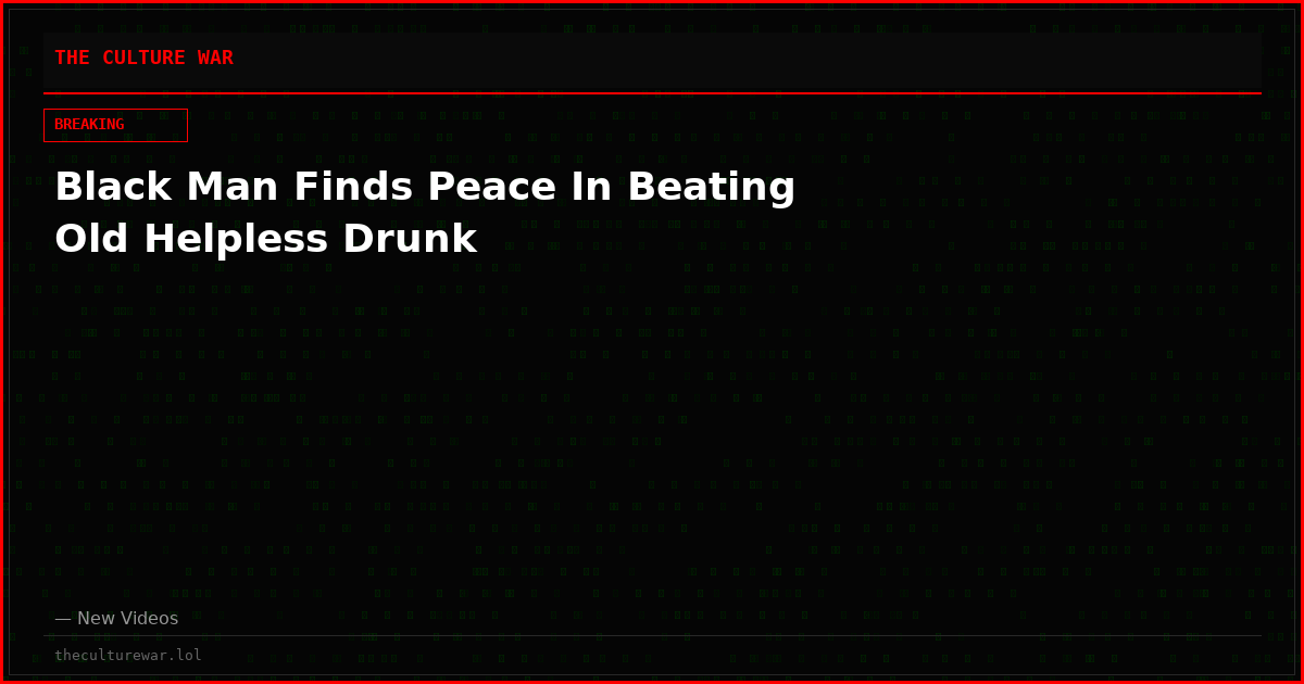 Black Man Finds Peace In Beating Old Helpless Drunk