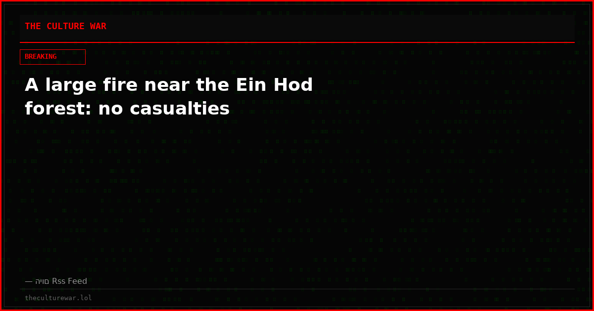 A large fire near the Ein Hod forest: no casualties