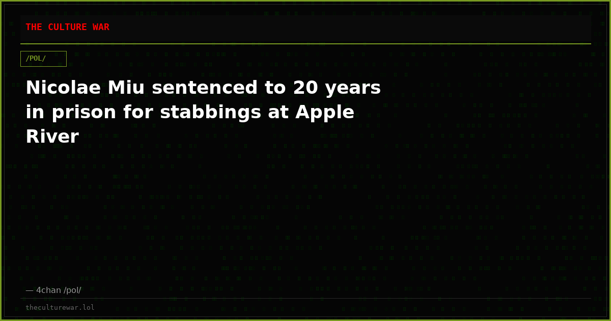 Nicolae Miu sentenced to 20 years in prison for stabbings at Apple River
