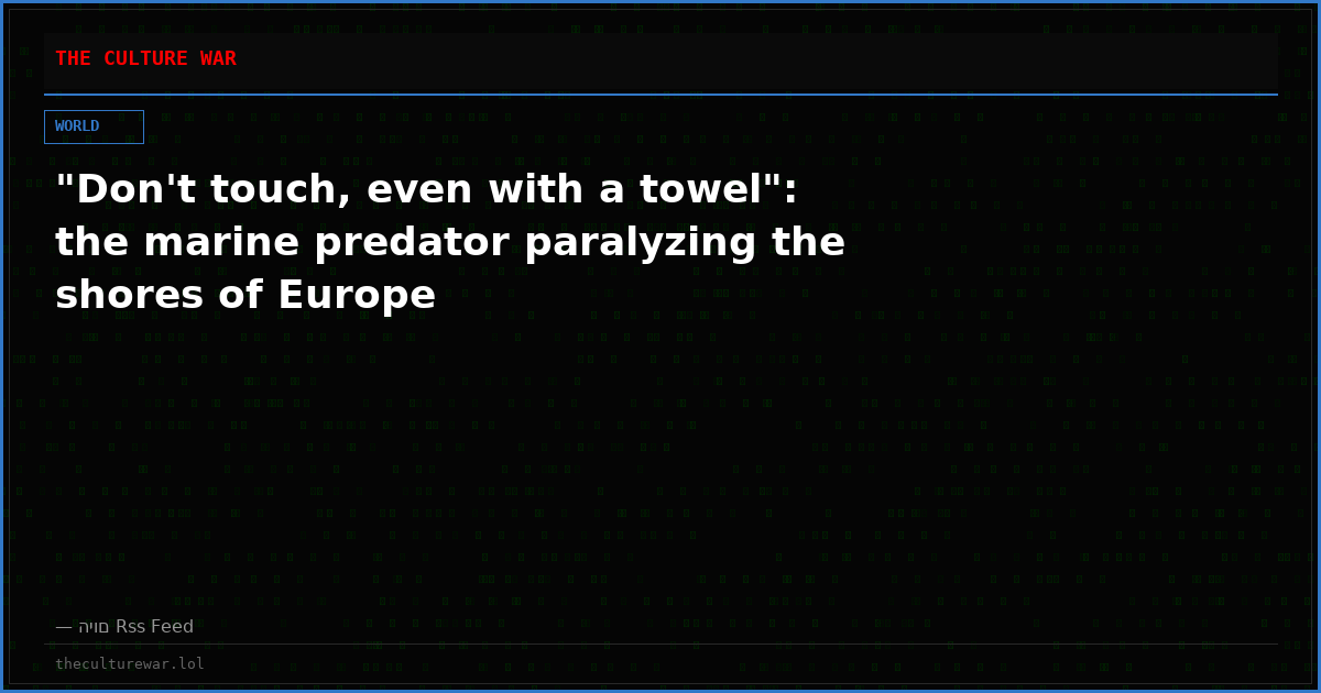 "Don't touch, even with a towel": the marine predator paralyzing the shores of Europe