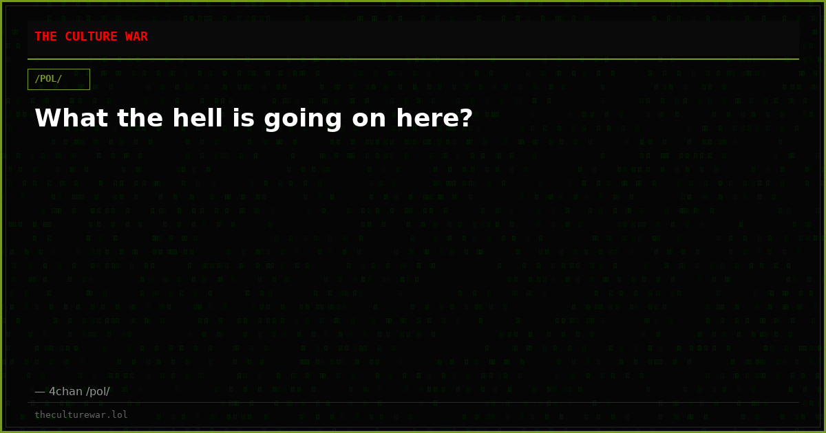 What the hell is going on here?